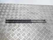 Gasfeder für Motorhaube Peugeot 607 ()