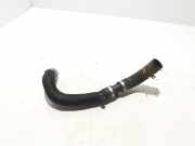 Kühlerschlauch Renault Scenic IV (J9) 215014814R