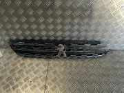 Vorderer oberer Gitter PEUGEOT 308 II 1.6 BlueHDi 120 AA38247938