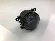 Nebelscheinwerfer links vorne Renault Laguna II (G) 8200074008