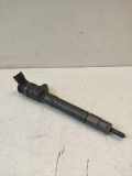 Einspritzdüse RENAULT GRAND SCÉNIC III (JZ0/1_) 1.6 dCi (JZ00, JZ12) 0445110414