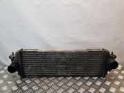 Ladeluftkühler Opel Vivaro B Combi (X82) 7700312903G