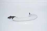 Türaußengriff vorne links BMW X5 (G05) xDrive 25d 8492029