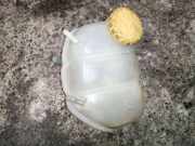 Ausgleichsbehälter OPEL VECTRA C GTS 2.2 DTI 16V 90499809