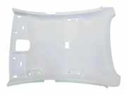 Dachverkleidung HYUNDAI IONIQ (AE) 1.6 GDI Hybrid 85310G2000TTX