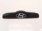 Kennzeichenbeleuchtung HYUNDAI GETZ (TB) 1.5 CRDi 873101C000