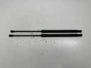 Gasfeder für Motorhaube Lexus RX 4 (L2) 534400E070A