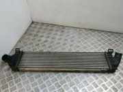 Ladeluftkühler FORD KUGA I 2.0 TDCi 6G919L440AE