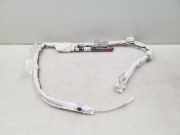 Airbag Dach rechts Audi A6 (4G, C7) 4G9880742B