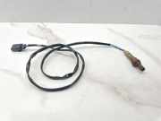 Sauerstoffsensor (Lambdasensor) AUDI A6 Avant (4F5, C6) 2.4