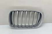 Kühlergrill oben BMW X3 (F25) 7210725