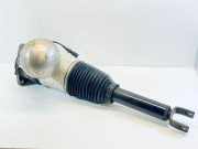 pneumatischer Stoßdämpfer hinten links