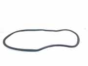 Türgummi links vorne Citroen C4 II Grand Picasso ()