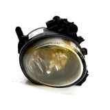 Nebelscheinwerfer links AUDI A4 Avant (8ED, B7) 2.0 TFSI quattro 8E0941699C