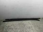 Dachreling links TOYOTA AURIS (_E18_) 1.4 D-4D (NDE180_)