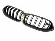 Vorderer oberer Gitter BMW M8 Coupe F92 (G15, F92) M8 51139500753
