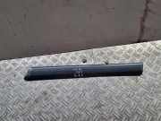 Kotflügelzierleiste hinten links