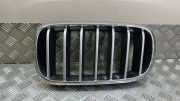 Vorderer oberer Gitter BMW X6 (F16, F86) xDrive 40 d 7316057 7316075