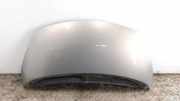 Motorhaube RENAULT ESPACE IV (JK0/1_) 2.2 dCi (JK0H) TEA19