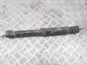 Stoßdämpfer hinten rechts RENAULT CLIO II (BB0/1/2_, CB0/1/2_) 1.5 dCi (B/CB07) 8200287736