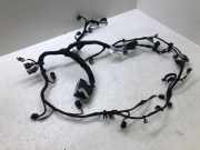 Motor Kabelbaum FORD FIESTA VII 1.0 EcoBoost L1BT12C508