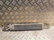 Ölkühler für Automatikgetriebe Mercedes-Benz A-Klasse (W169) 1695000200