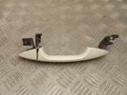 Türaußengriff vorne links