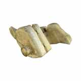 Behälter Scheibenwaschanlage Citroen Berlingo I (MF)