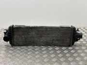 Ladeluftkühler NISSAN PRIMASTAR Furgon (X83) 2.5 dCi 150
