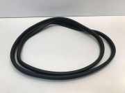 Türdichtungsgummi vorne links KIA NIRO E-NIRO 82783110AT000 8278311020AT000