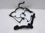 Kabel der vorderen linken Tür RENAULT CLIO V (B7_) 1.3 TCe 130 (B7MF) 000000