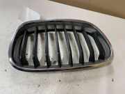 Vorderer oberer Gitter BMW 1 (F21) 116 d 7262120 7262118