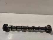 Nockenwelle AUDI A6 (4F2, C6) 3.0 TDI quattro 059101CQ