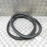 Türdichtungsgummi vorne links BMW X6(G06) (G06, F96) M 7437779