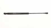 Heckklappe Gasdruckfeder links BMW 4 Coupe (F32, F82) 420 d 7295205