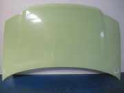 Motorhaube Fiat Panda (141)