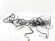 Innenkabelbaum (links) RENAULT ESPACE V (JR_) 1.6 dCi 160 241635019R