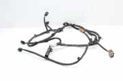 Kabelbaum Hinteren Parksensoren OPEL AMPERA EV 150 351048