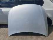 Motorhaube VW PASSAT B7 ALLTRACK (365) 2.0 TDI