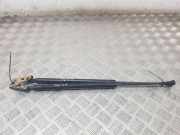 Heckklappe Gasdruckfeder links TOYOTA COROLLA Verso (_E12_) 2.0 D-4D (CDE120_) 68960