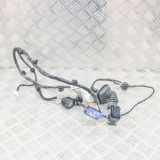 Türverkabelung hinten links MASERATI GHIBLI (M157) 3.0 S Q4 6700086070 670008607