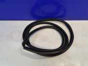 Türgummi rechts hinten Lexus RX 4 (L2) 623310E070