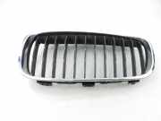 Gitter BMW 2 Active Tourer (F45) 218 d 7300543