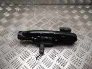 Türaußengriff hinten links RENAULT ESPACE IV (JK0/1_) 2.2 dCi (JK0H)