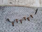 Einspritzventil Set AUDI A8 D3 (4E2, 4E8) 6.0 W12 quattro 07C906031C 0280146221