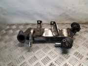 Abgaskühler Opel Movano B Kasten (X62) 8200910446C