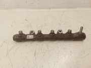 Einspritzleiste Skoda Roomster (5J) 03P089