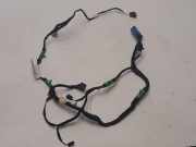 Kabel Tür Audi A6 (4F, C6) 4F1971035C