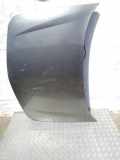 Motorhaube Renault Laguna II (G)