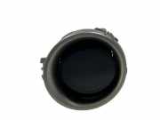 Lüftungsgitter Armaturenbrett Toyota RAV 4 IV (A4) 5566042060